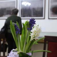 Гиацинты для Марины Цветаевой в зеркальном зале музея. Фото Татьяны Успенской